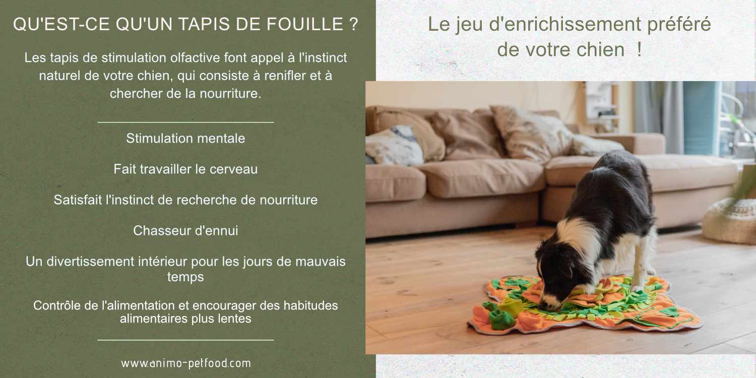 tapis-activite-pour-chien